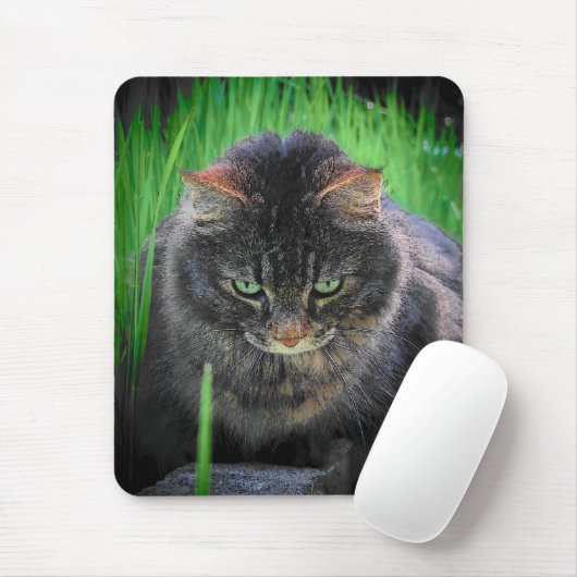 Ik haat dat grassprietje muismat (Met muis)