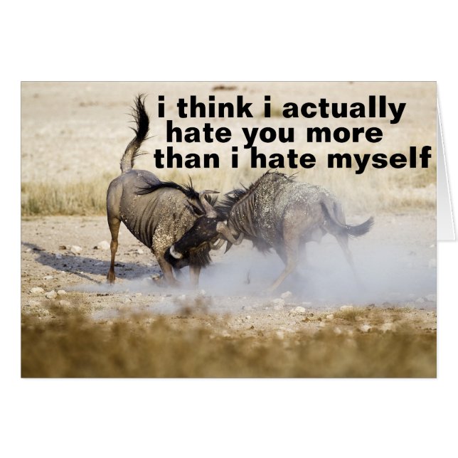 ik haat je veel (Voorkant Horizontaal)