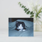 Ik haat maandag! briefkaart (Staand voorkant)