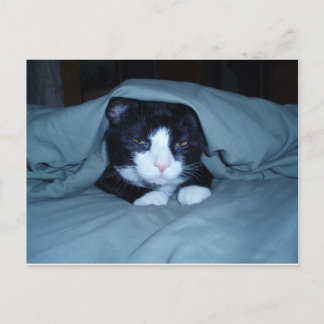 Ik haat maandag! briefkaart