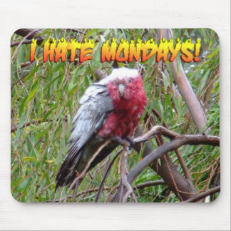 Ik haat maandag muismat