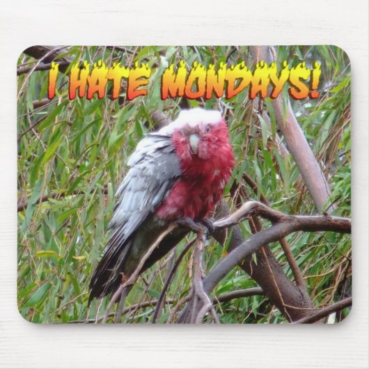 Ik haat maandag muismat (Voorkant)