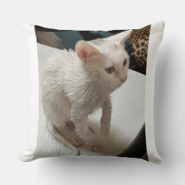 Ik haat mensen! Kattenworp kussen