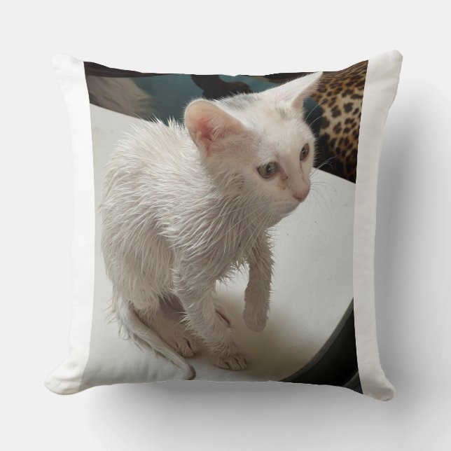 Ik haat mensen! Kattenworp kussen (Voorkant)