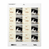 Ik had geen 2 etiket (Full Sheet)