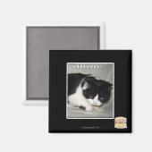 Ik had geen 2 magneet (Voorkant / Achterkant)