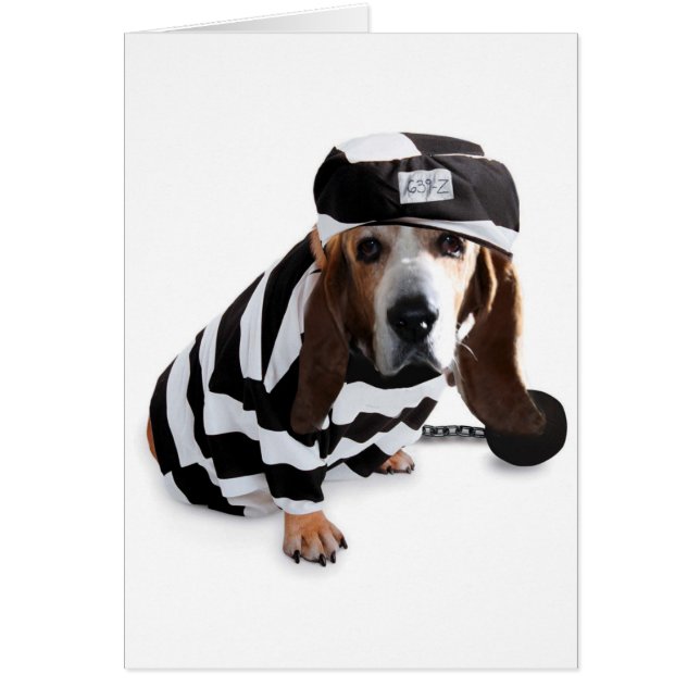 Ik had het niet bedoeld... (Voorkant)