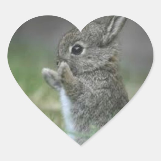 IK HART BUNNYS STICKER (Voorkant)