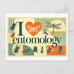 "Ik [Hart] Entomologie" Briefkaart