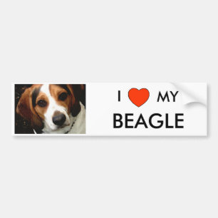 IK Hart MIJN BEAGE Bumpersticker