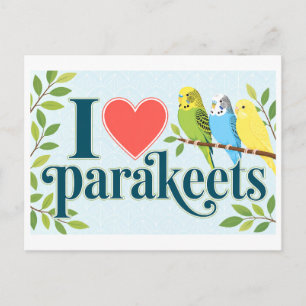 "Ik [Hart] Parkieten" Briefkaart
