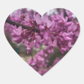 Ik hart Redbud bomen sticker (Voorkant)