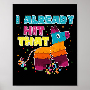 Ik heb al die Pinata Cinco de Mayo Party 1 geslage Poster