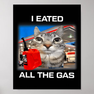 Ik heb alle gas opgemaakt Funny Silly Starende Kat Poster