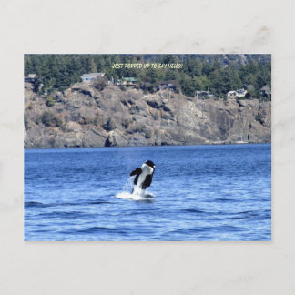 Ik heb alleen Hallo gezegd. Briefkaart