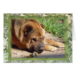 Ik heb alleen herinneringen