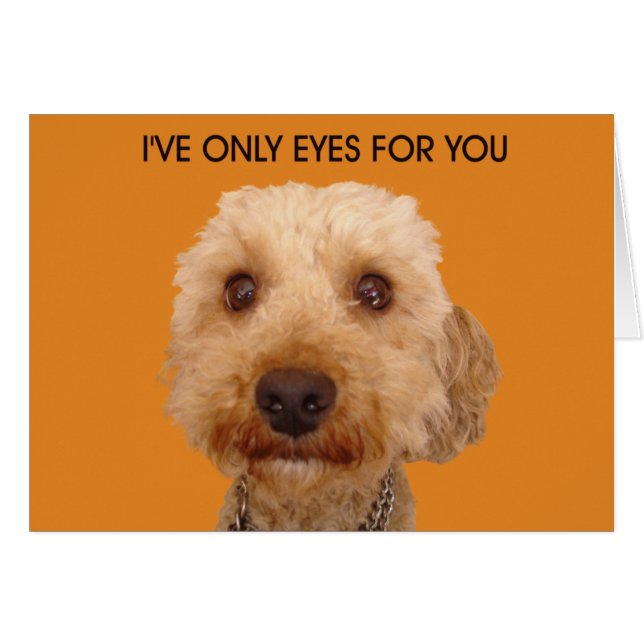 Ik heb alleen maar ogen voor jou (Voorkant Horizontaal)