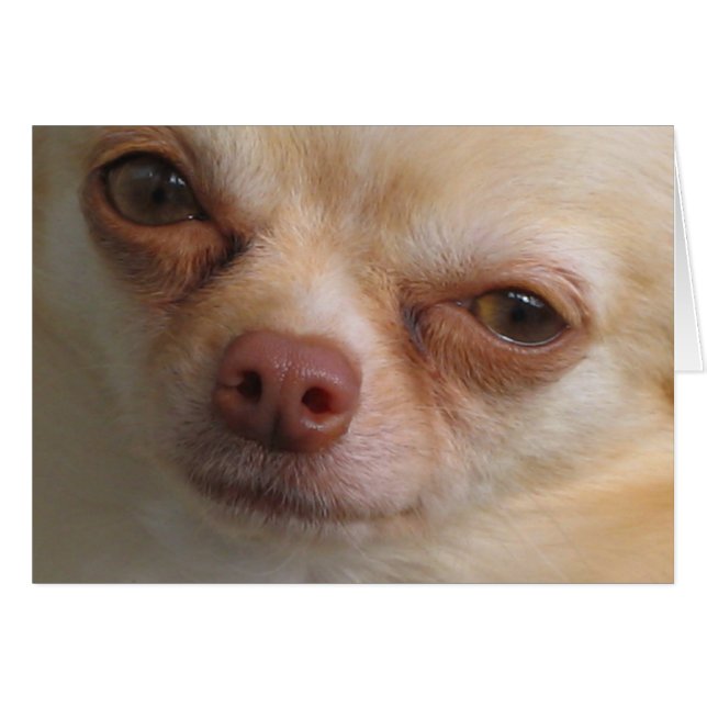 Ik heb alleen maar ogen voor jou (Voorkant Horizontaal)