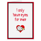 Ik heb alleen maar ogen voor ooien. Humor schapen. (Voorkant)