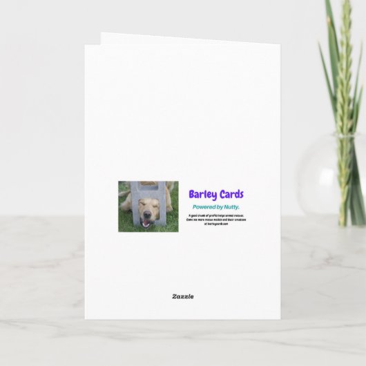 Ik heb alleen ogen voor je leuke Valentijn. Kaart (Achterkant)