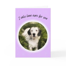 Ik heb alleen ogen voor je leuke Valentijn.