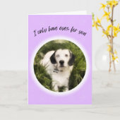 Ik heb alleen ogen voor je leuke Valentijn. Kaart (Gele Bloem)