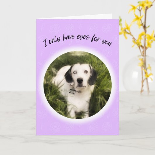 Ik heb alleen ogen voor je leuke Valentijn. Kaart