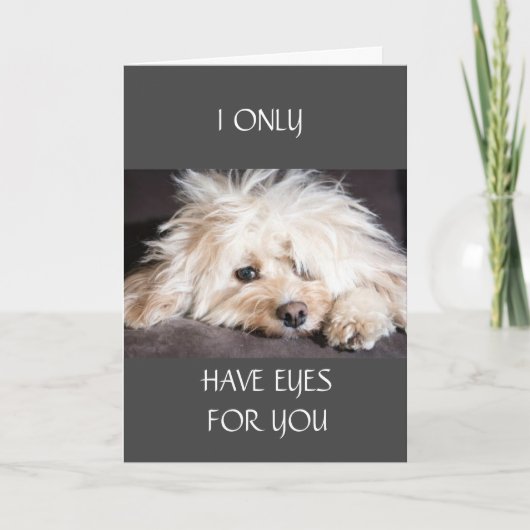 IK HEB ALLEEN "OGEN VOOR JULLIE" KAART (Voorkant)