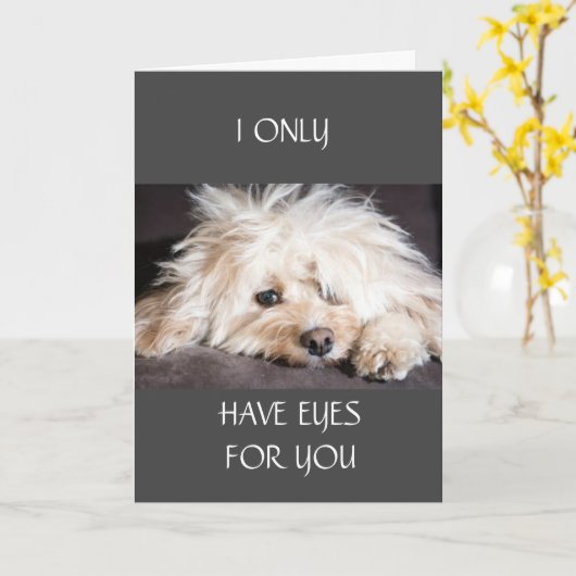 IK HEB ALLEEN "OGEN VOOR JULLIE" KAART (Gele Bloem)