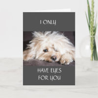 IK HEB ALLEEN "OGEN VOOR JULLIE" KAART