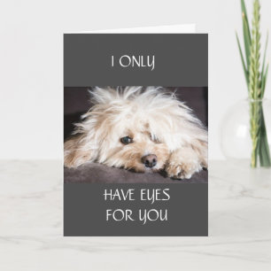 IK HEB ALLEEN "OGEN VOOR JULLIE" KAART