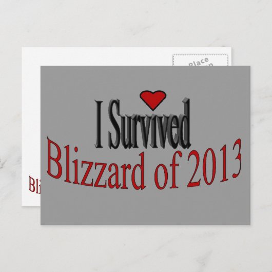 Ik heb Blizzard 2013 Briefkaart overleefd (Voorkant / Achterkant)