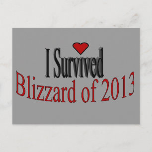 Ik heb Blizzard 2013 Briefkaart overleefd