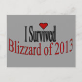 Ik heb Blizzard 2013 Briefkaart overleefd (Voorkant)
