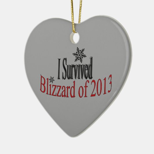 Ik heb Blizzard 2013 Ornament overleefd (Links)
