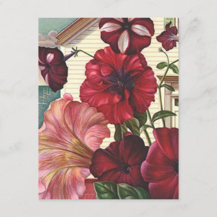 Ik heb de aankondiging van Petunia Flowers Home ve