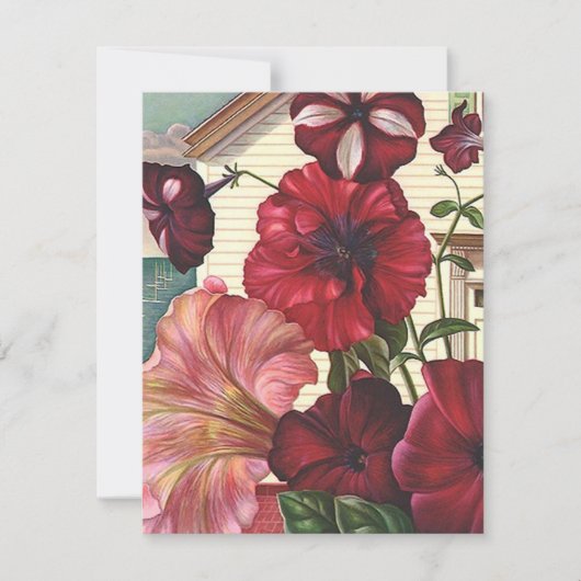 Ik heb de aankondiging van Petunia Flowers Home ve (Voorkant)