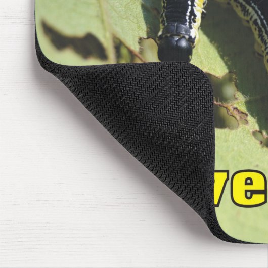 Ik heb de boomstammen van Catalpa Muismat (Hoek)