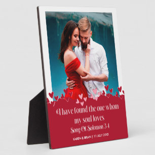 Ik heb de ene gevonden die mijn sol van het plaque fotoplaat