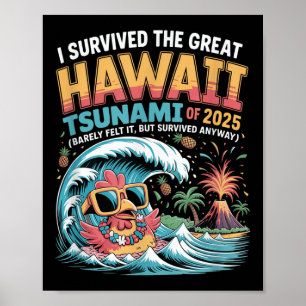 Ik heb de grote Hawaï-tsunami van 2025 grappig ove Poster