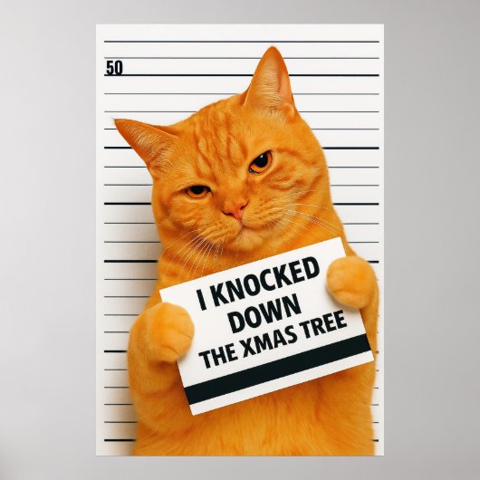 Ik heb de Kerstboom Omgegooid 😼🎄 Poster (Voorkant)