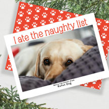 Ik heb de Naughty List Dog kerstfoto opgegeten