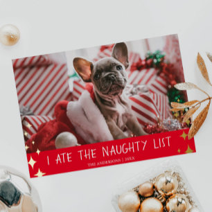 Ik heb de Naughty List Pet Photo Folie Holiday Car Feestdagenkaart