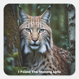 Ik heb de ontbrekende Lynx Stickers gevonden
