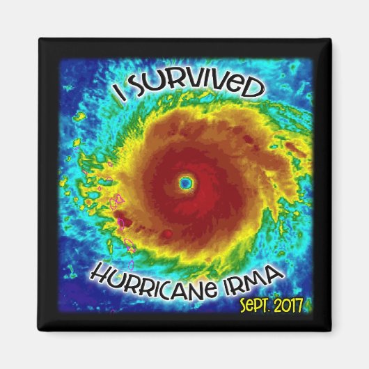 Ik heb de orkaan Irma Magnet overleefd (Voorkant)