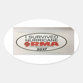 Ik heb de orkaan IRMA OVAL Decal overleefd Ovale Sticker