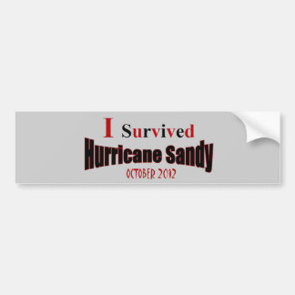 Ik heb de orkaan Sandy Bumpersticker overleefd