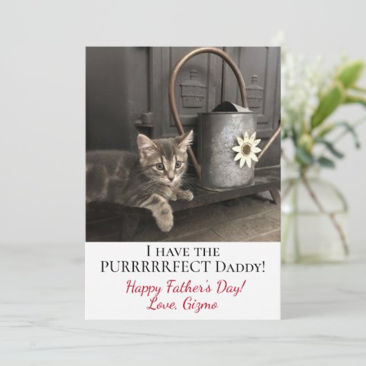 Ik heb de pappa. Vaderdag Kat Foto Kaart (Staand voorkant)