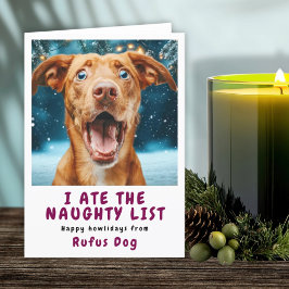 Ik Heb De Stoute Lijst Hond Kerst Foto Feestdagen Kaart