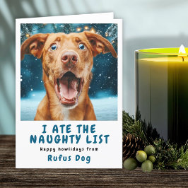 Ik Heb De Stoute Lijst Hond Kerst Foto Feestdagen Kaart